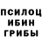 Галлюциногенные грибы мухоморы Beybr S