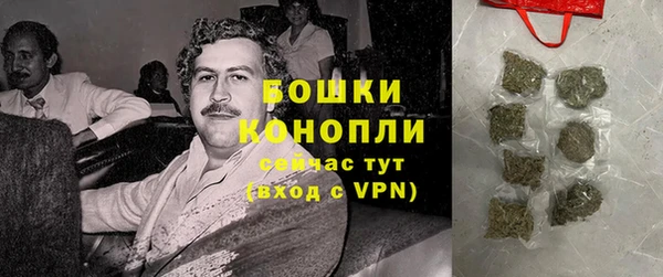 крисы Каменногорск