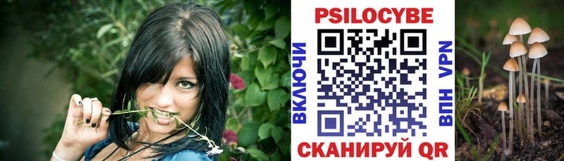 Галлюциногенные грибы Magic Shrooms Купить где Старица